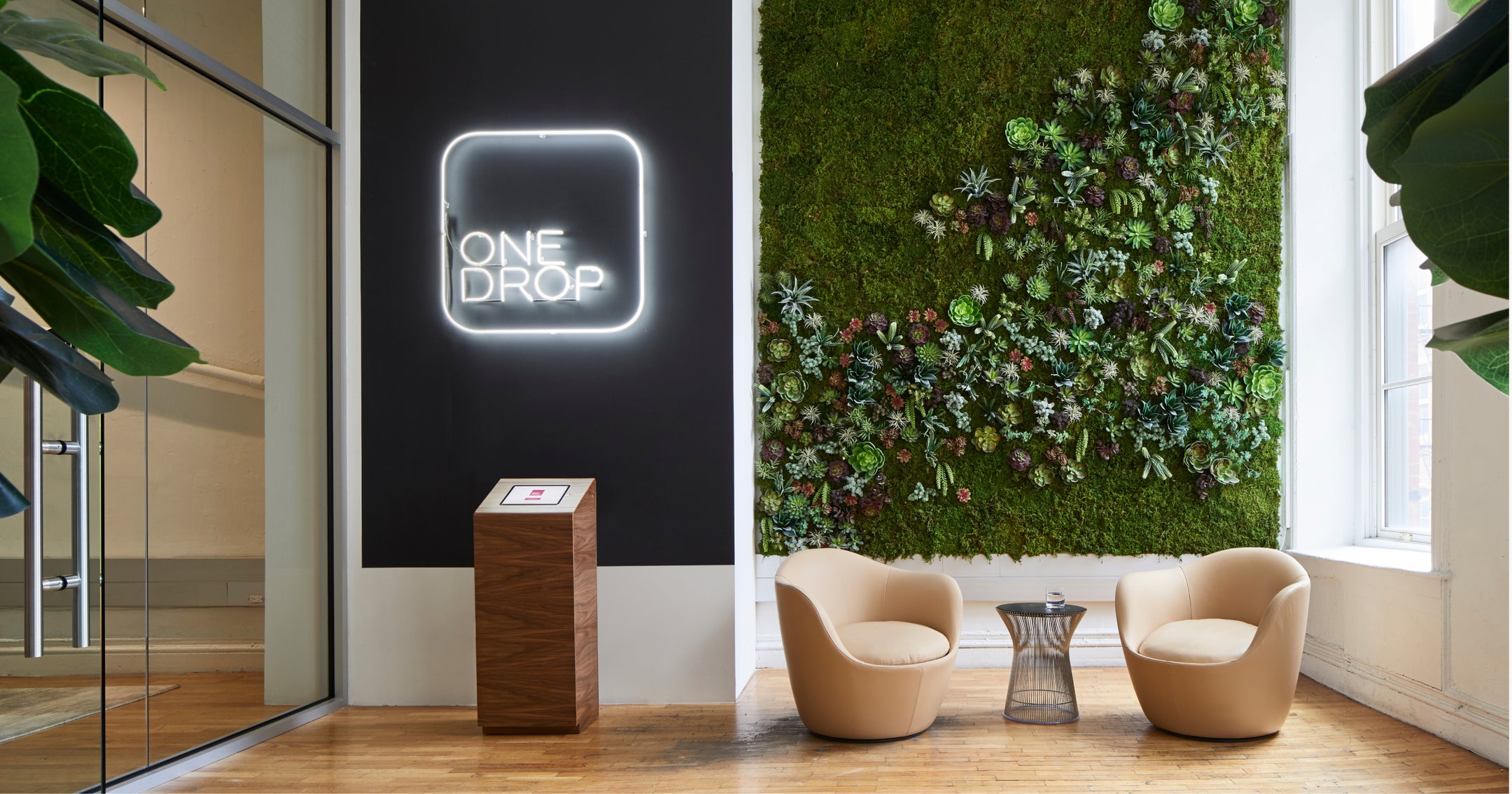 One Drop Appoints Luc Gregoire as Chief Financial Officer